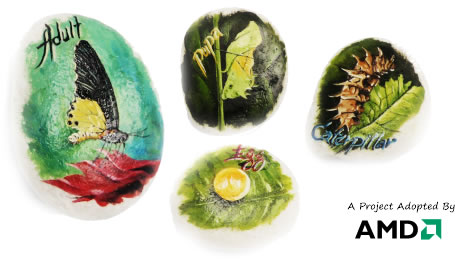 Save Our Butterflies! Pebble Painting Project