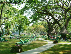 batu ferringhi beach