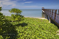 pantai kerachut beach