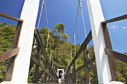 pantai kerachut bridge