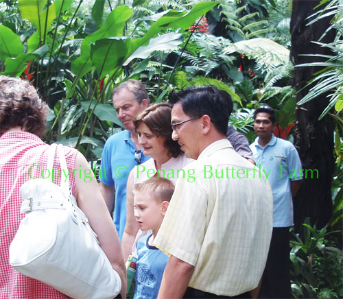 布莱尔、谢丽与小利奥正赏心悦目地观察着具伪装能力昆虫的生态习性。