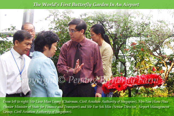 Changi Butterfly Garden Official Opening