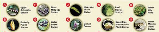 Penang Butterfly Farm Plan