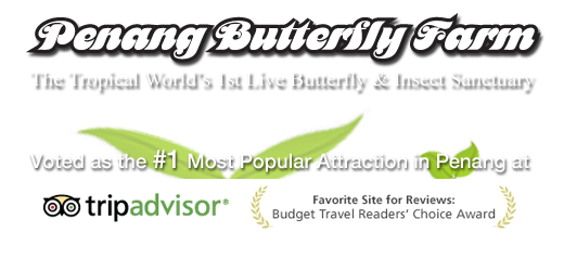 Welcome to the Penang Butterfly Farm!