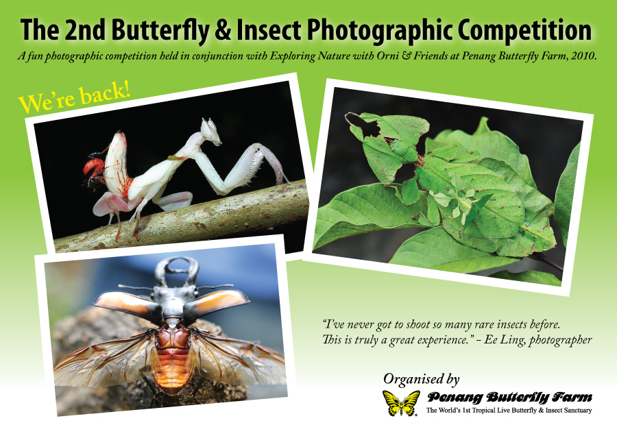 Insect & Butterfly Conservation Photography Competition
