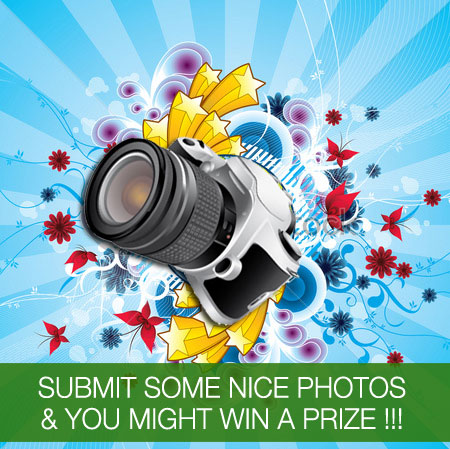 Prizes Awaits The Winners!